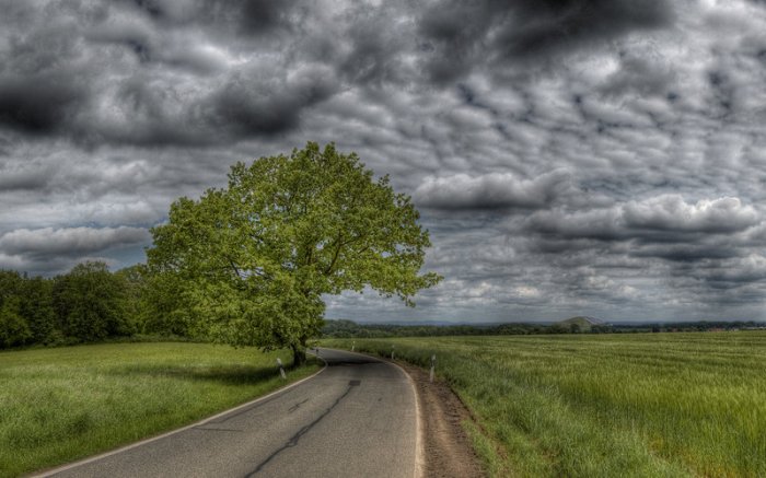 lonely_road_wallpaper_by_myinqi