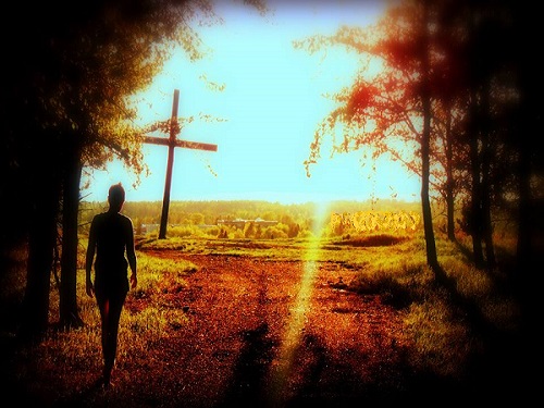 33532924_1958833107462926_3934782984846049280_n