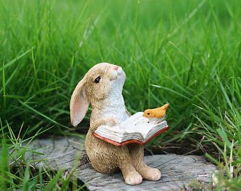 bunny reading