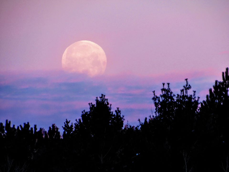 50916937_2309273665752200_2415728029494935552_n