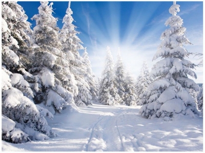 vinyl-3x5ft-xmas-photography-background-studio-photo-props-backdrop-bright-sun-snow-world