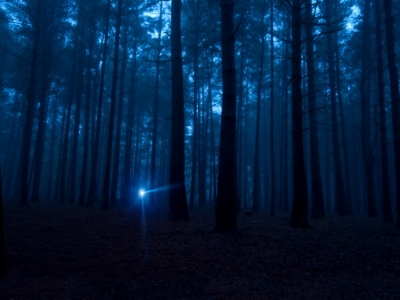 porchlight 2