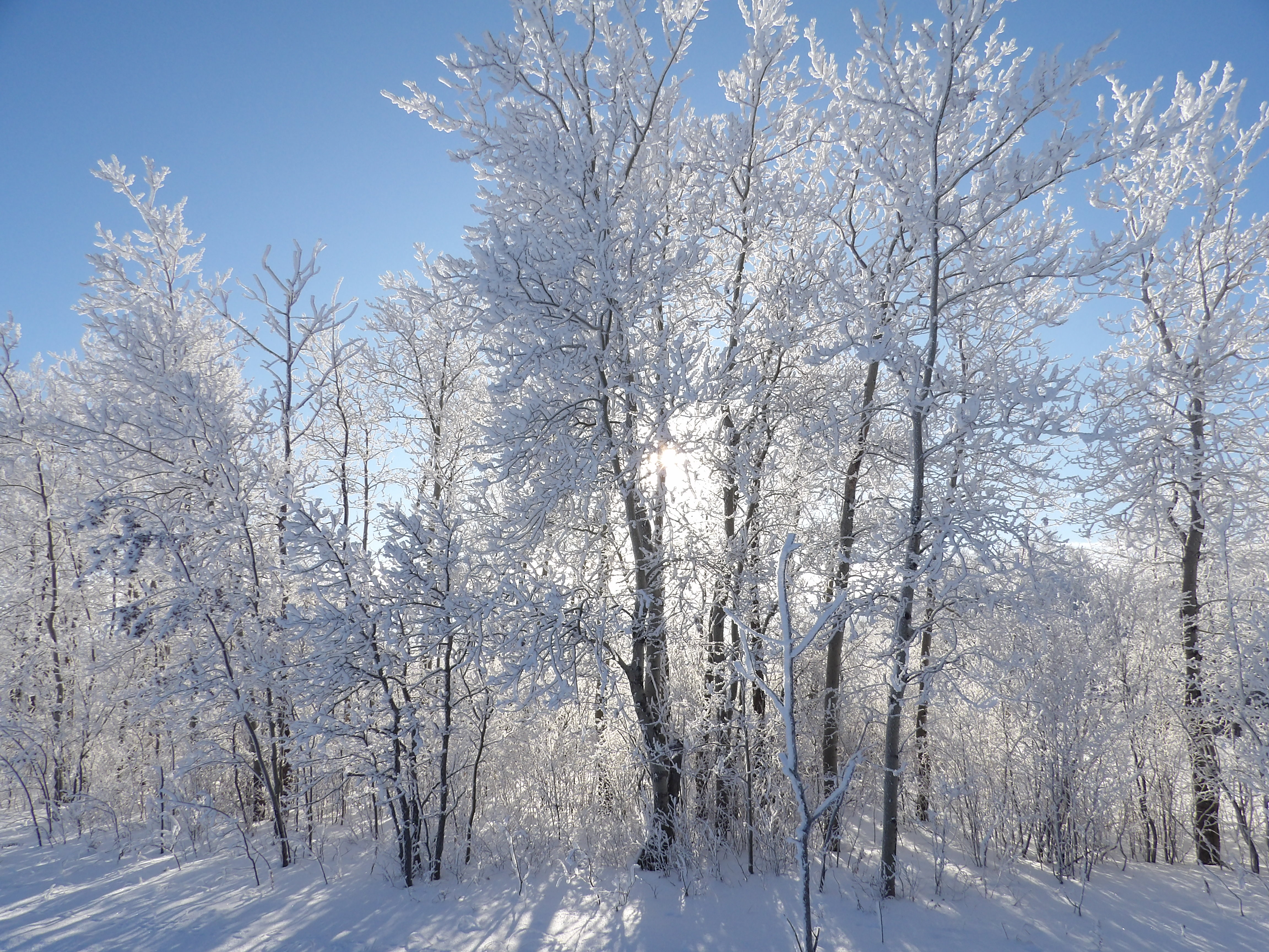 Shadorma Examples a new day (shadorma) – michaeljordahl